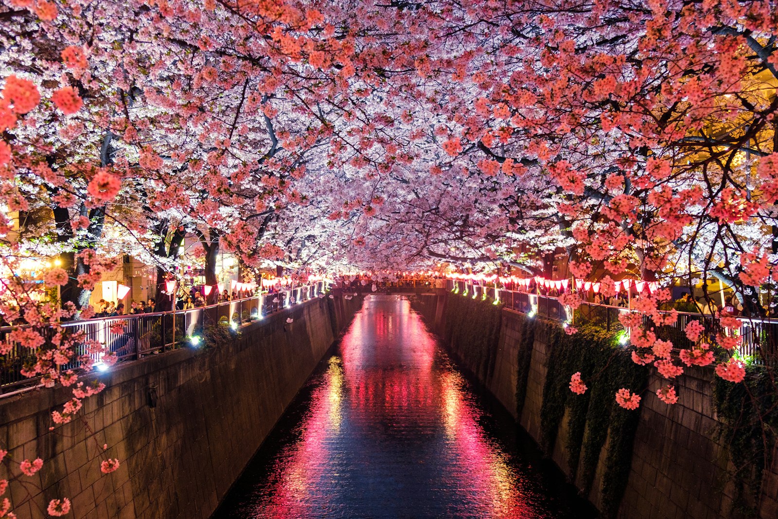 福岡の四季
